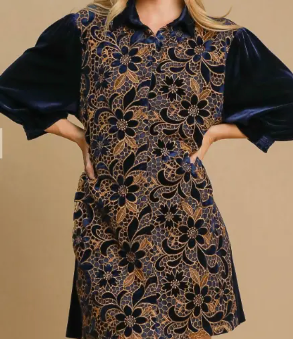 Vernacular Velvet Dress