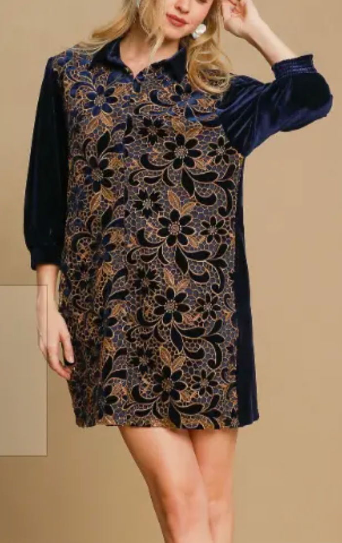 Vernacular Velvet Dress